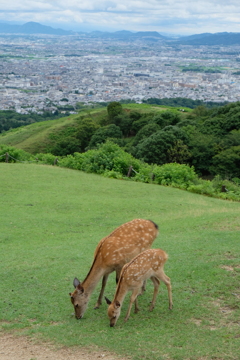 おかあさんといっしょ