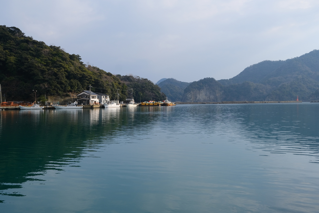 柴山港