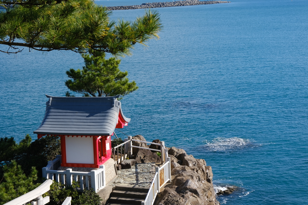 桂浜園地