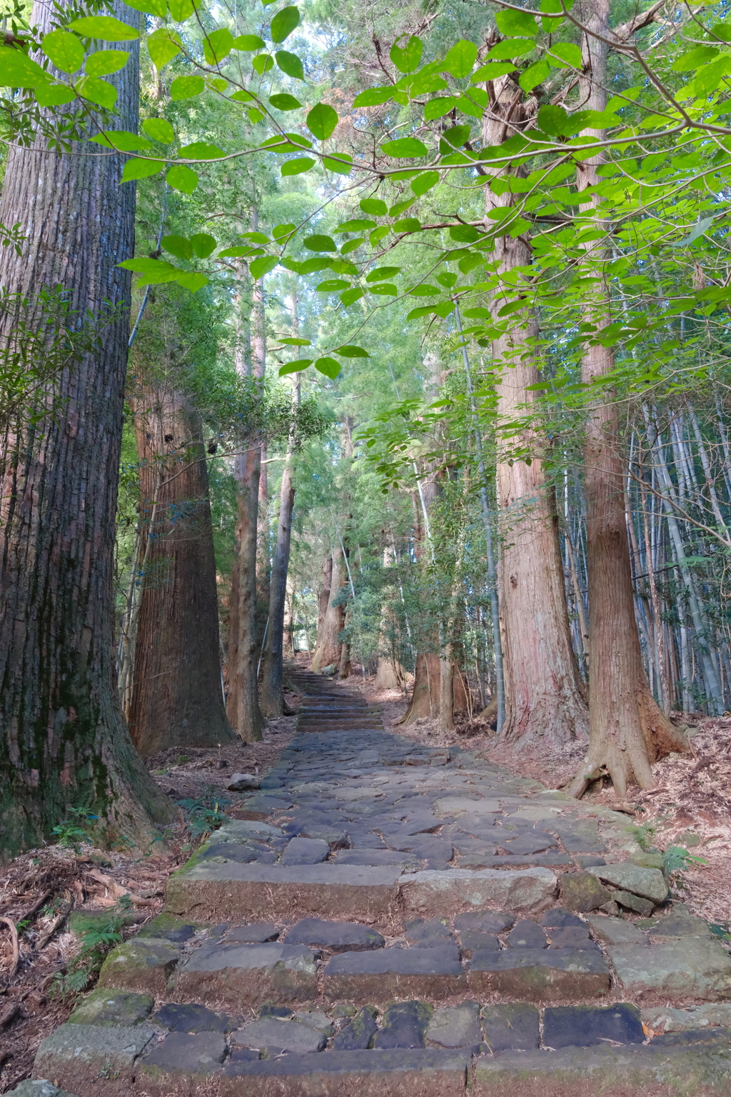 大門坂