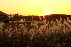 曽爾高原の夕暮れ