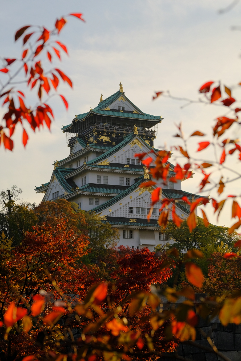 紅葉の大阪城