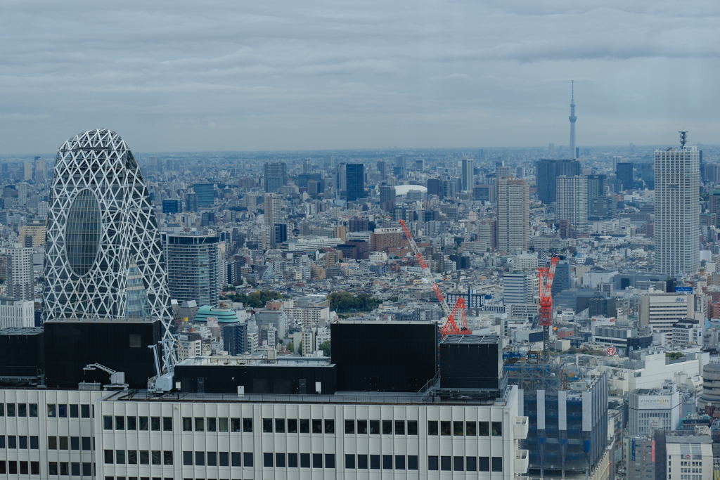 タワーとは遠くにありて眺めるもの