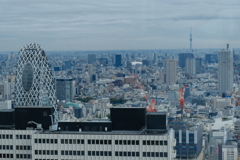 タワーとは遠くにありて眺めるもの