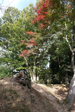 玄蕃尾城跡の紅葉