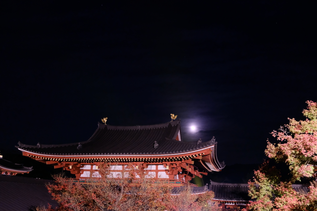 平等院鳳凰堂の夜景