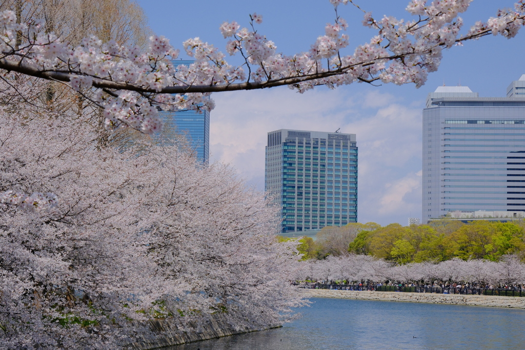大阪城公園