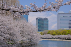 大阪城公園
