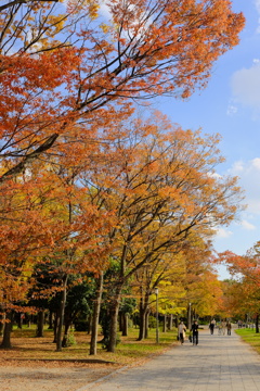 大阪城公園の紅葉