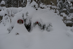 雪の高野山