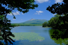 大沼公園