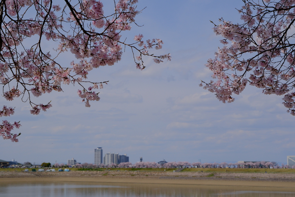 狭山池公園