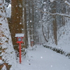 貴船神社 奥宮