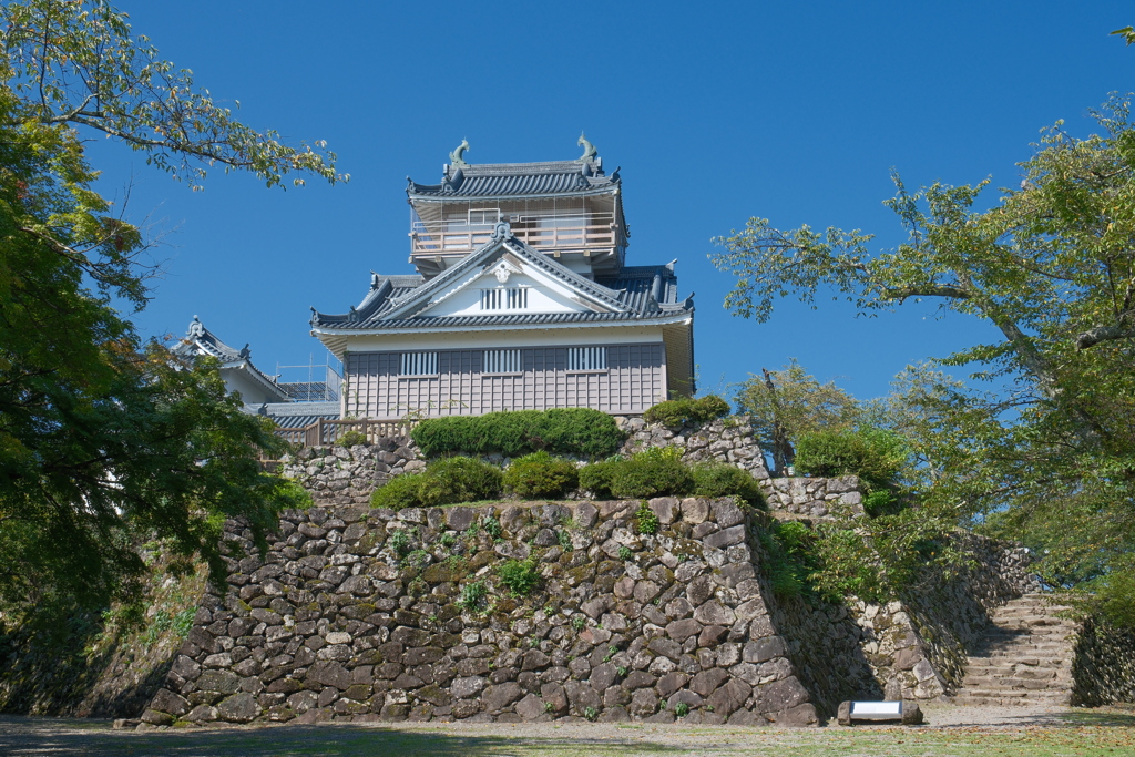 越前大野城
