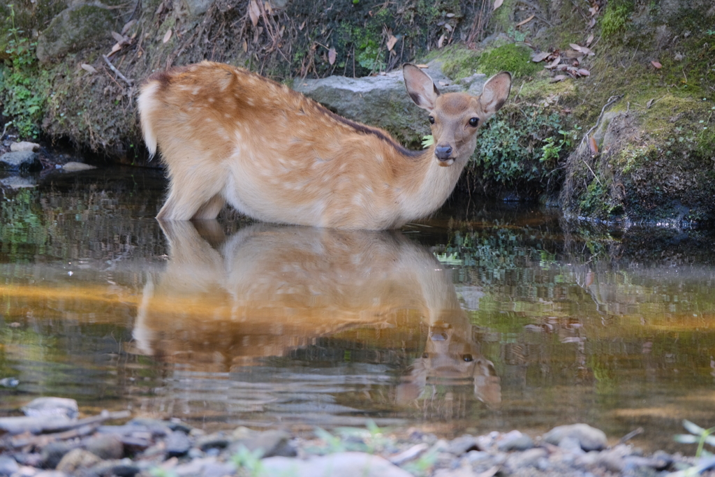 行水