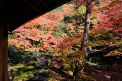 貴船口の紅葉