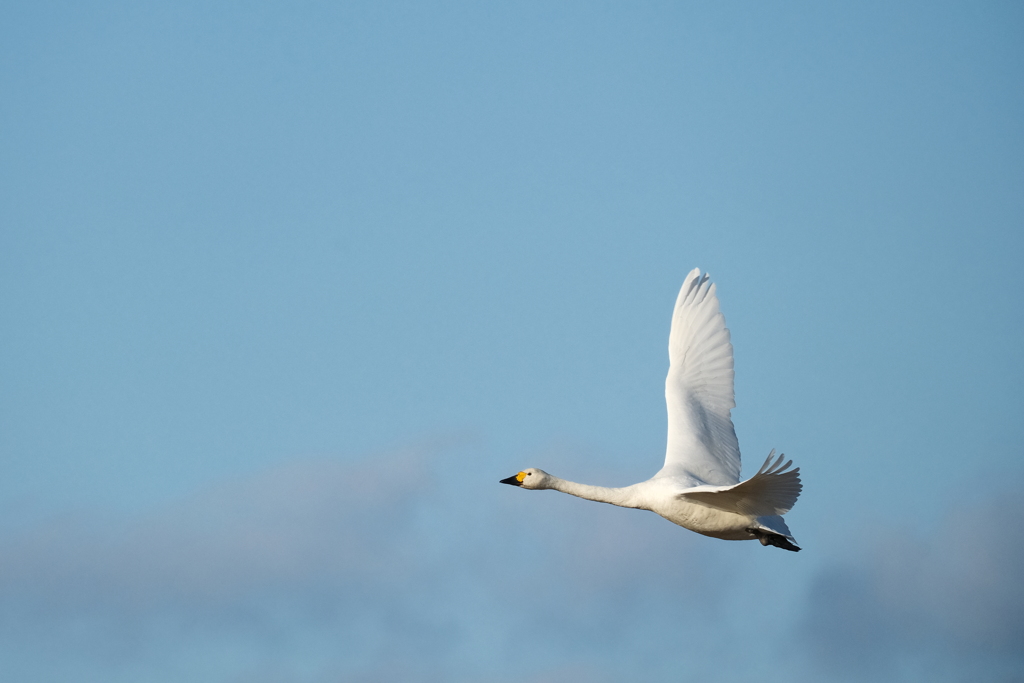 気持ちよさそう