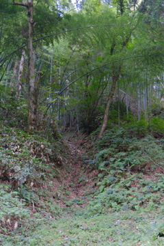 増山城F郭から見た堀切