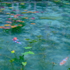モネの池
