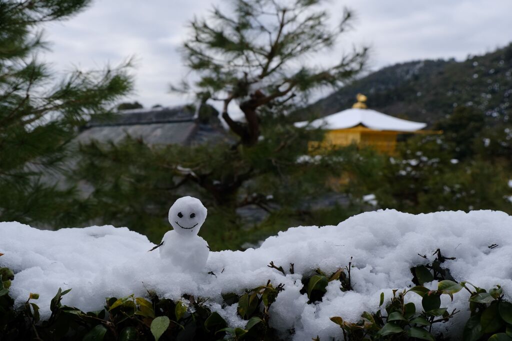 雪の金閣寺