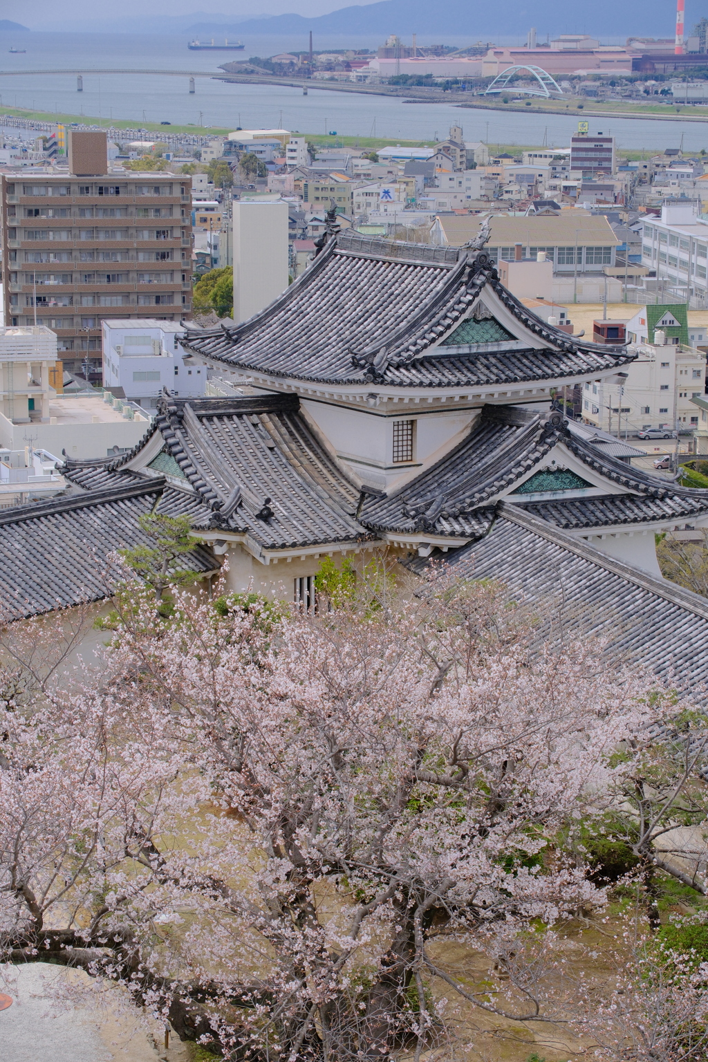 和歌山城