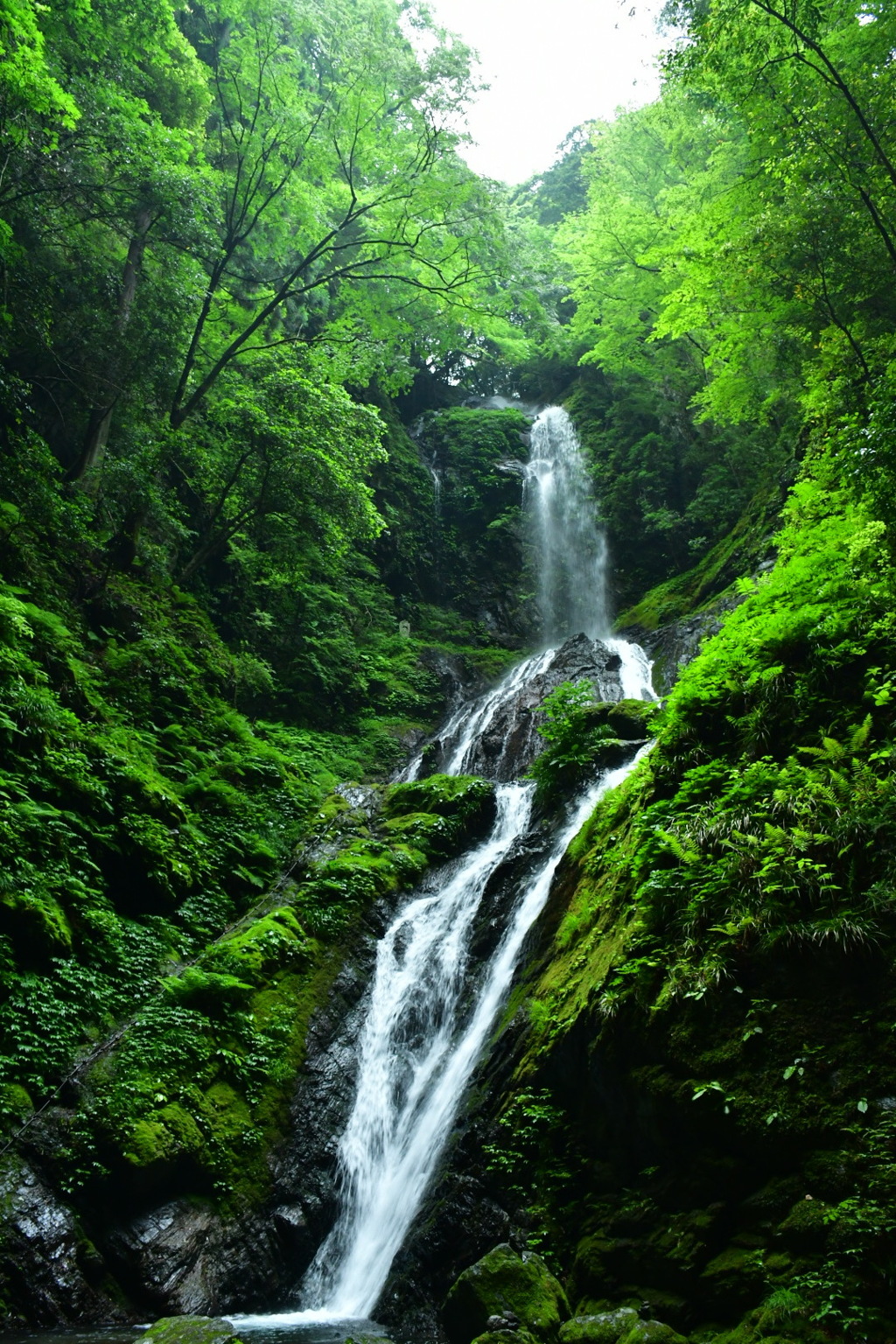 徳島県 神山 雨乞の滝