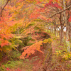 紅く染まる
