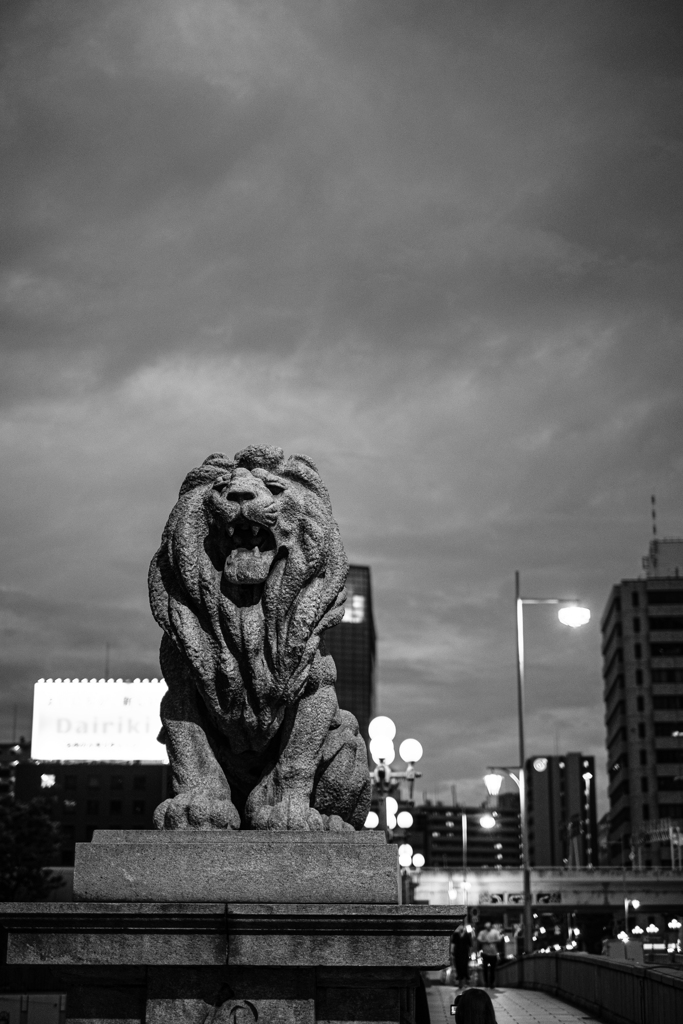 LION
