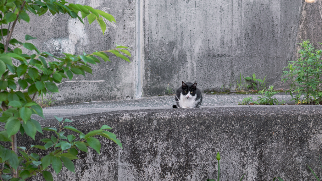 またね
