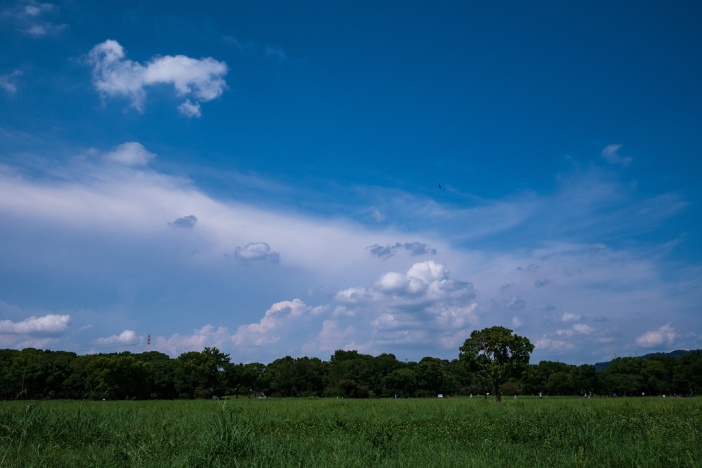 夏空