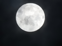 中秋の名月02