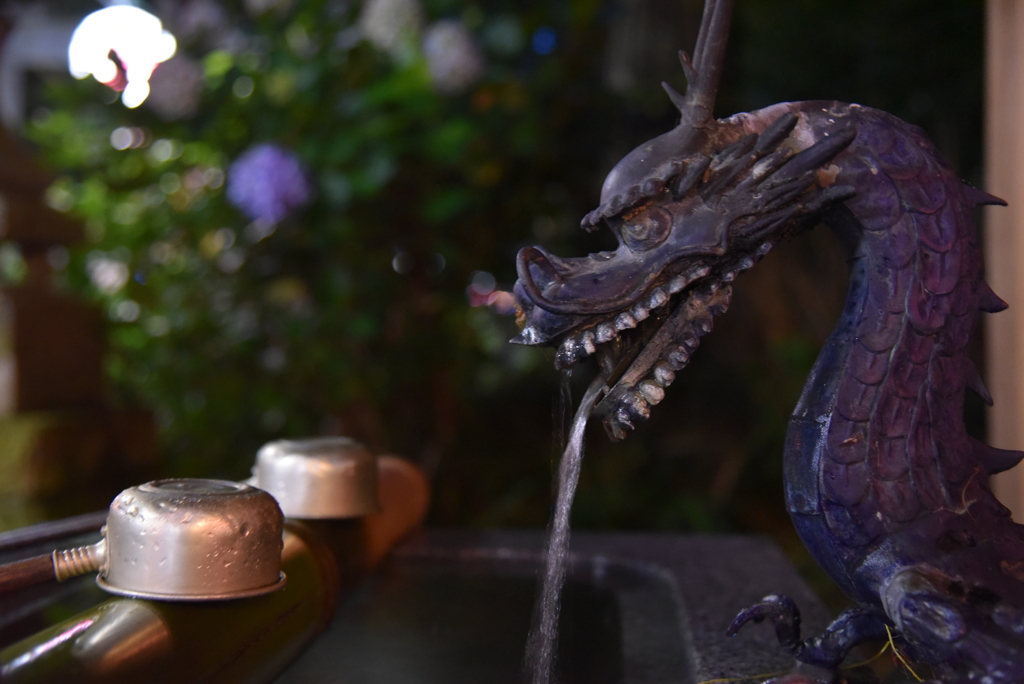 あじさい祭り_手水舎