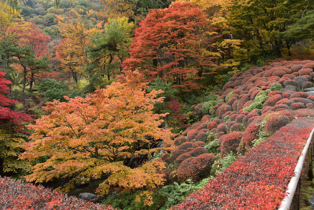 古峰園_秋