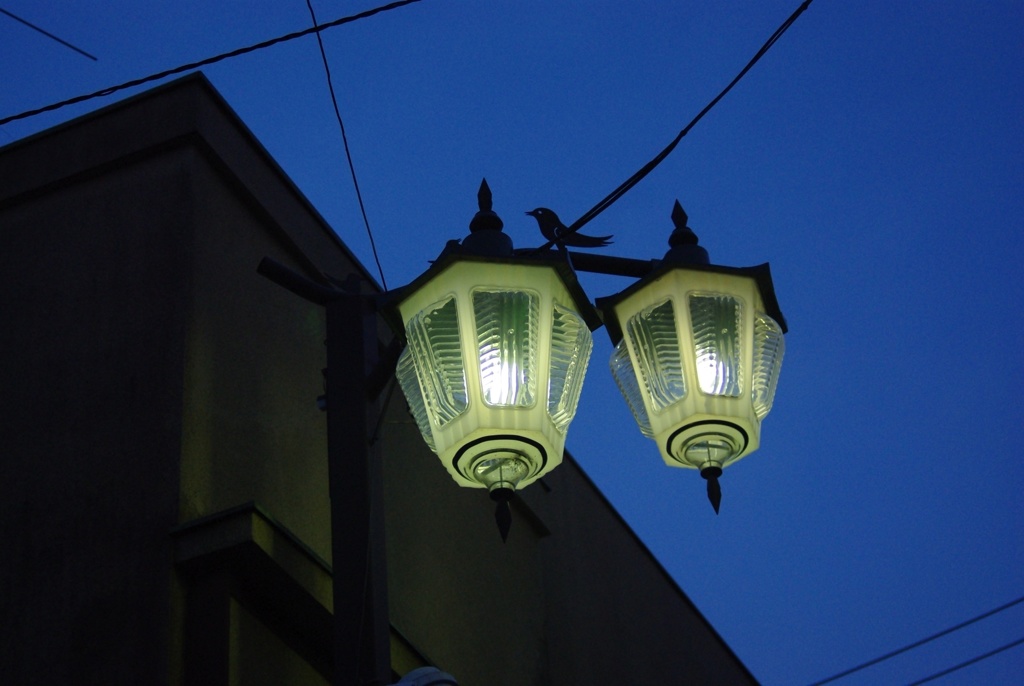 外灯 / Street Lamp