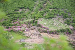立中山