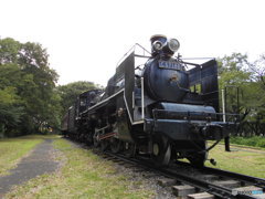 小金井公園の蒸気機関車