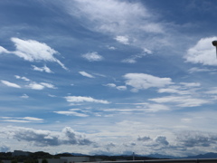 雲