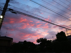 朝焼け2