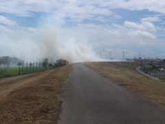 埼玉県荒川河川敷の火事