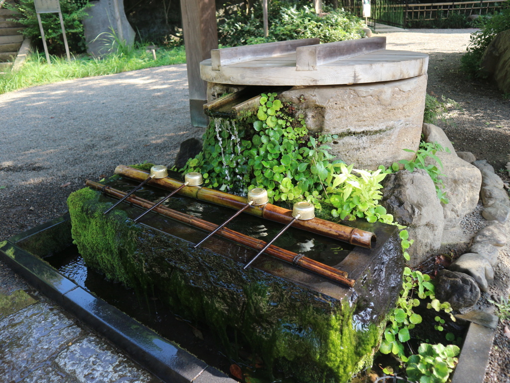 深大寺清め水