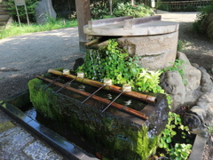 深大寺清め水