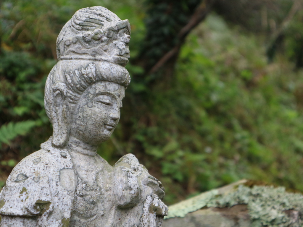 裏高尾宝珠寺の仏様
