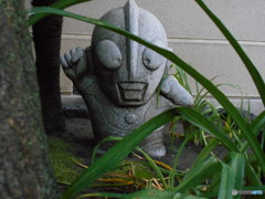 浅草寺のウルトラマン