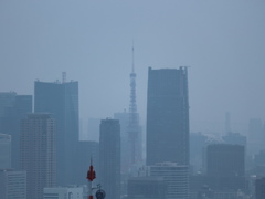 東京タワー