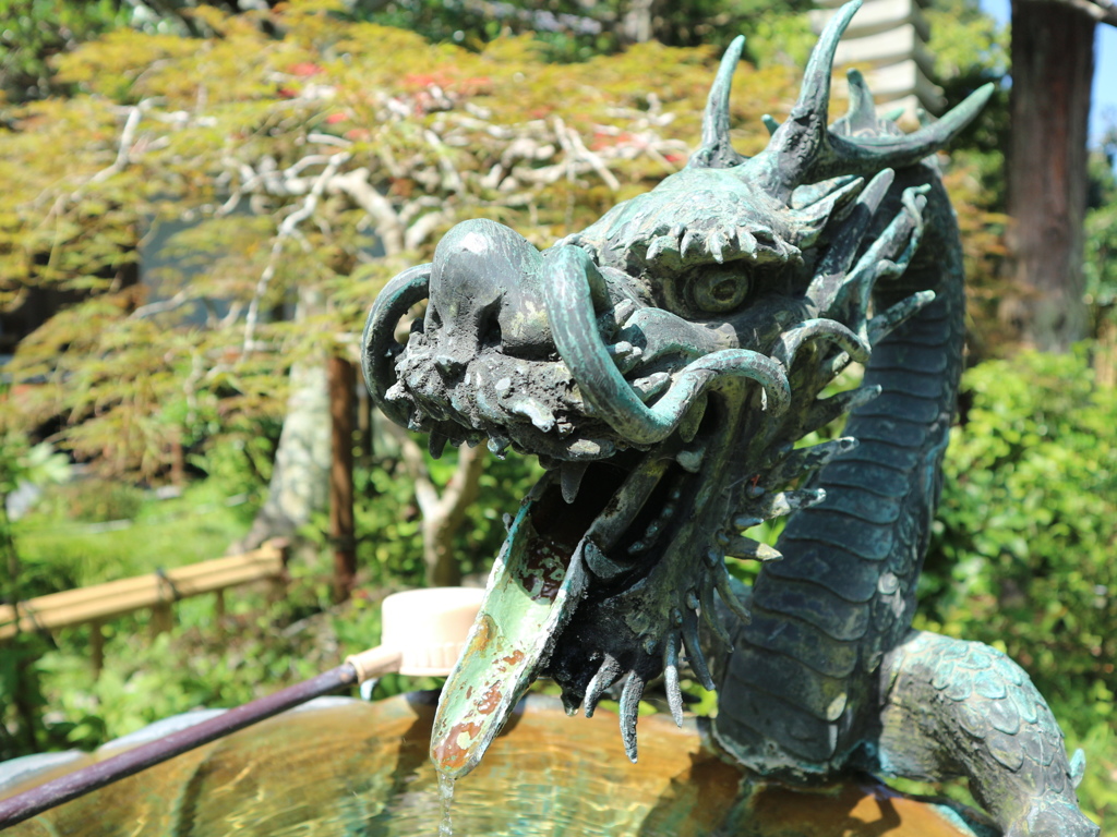 龍