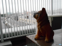 雨やまないなあ…