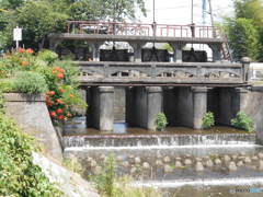 川越　水門