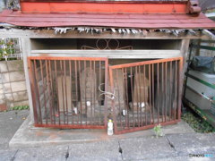 守られている(何が、でしょう？）