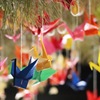 羽ばたき