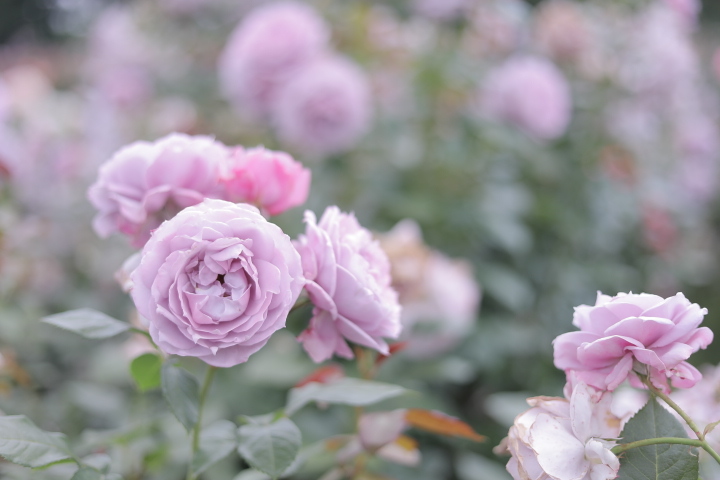 8D658F0A-29D3-4E8A-8393-61B07B52014E